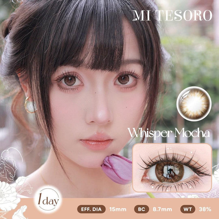 Whisper Mocha-Mi Tesoro 1 Day Color Con 10pcs